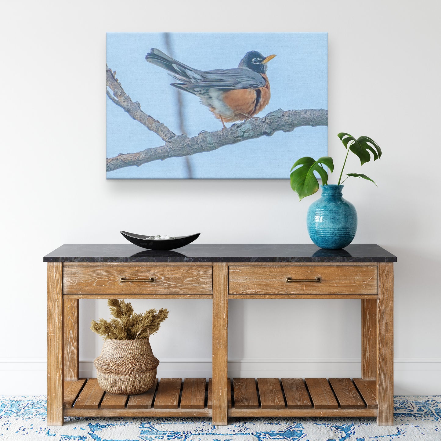 American Robin Canvas Wrap