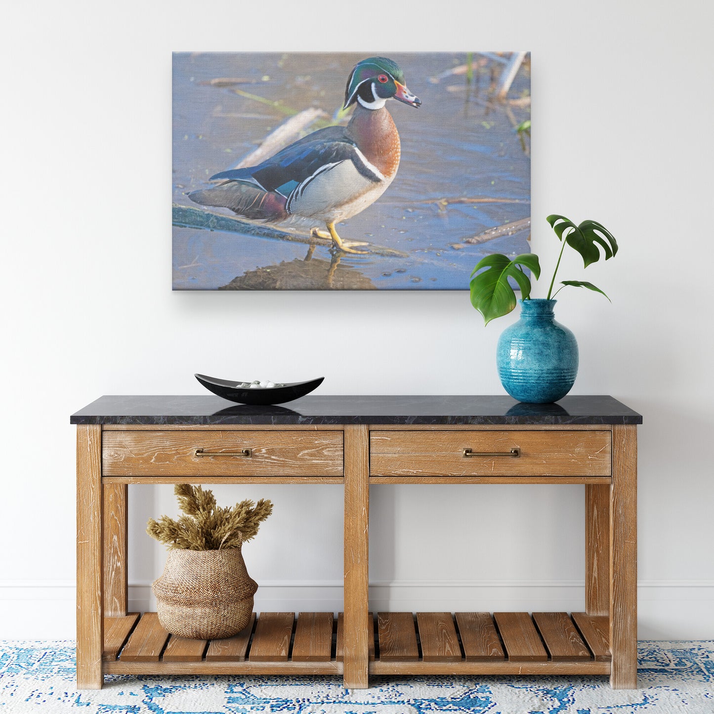 Male Wood Duck on Display Canvas Wrap