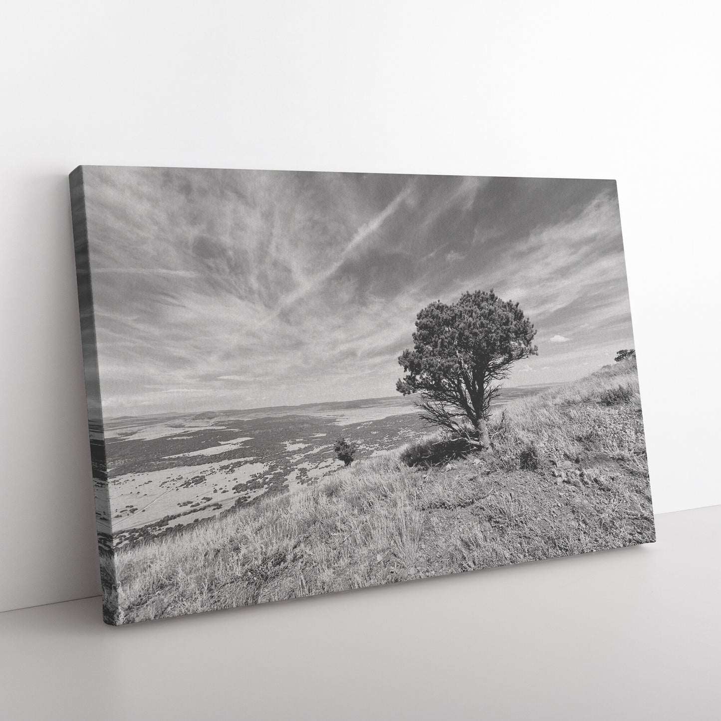 On top of Capulin Canvas Wrap
