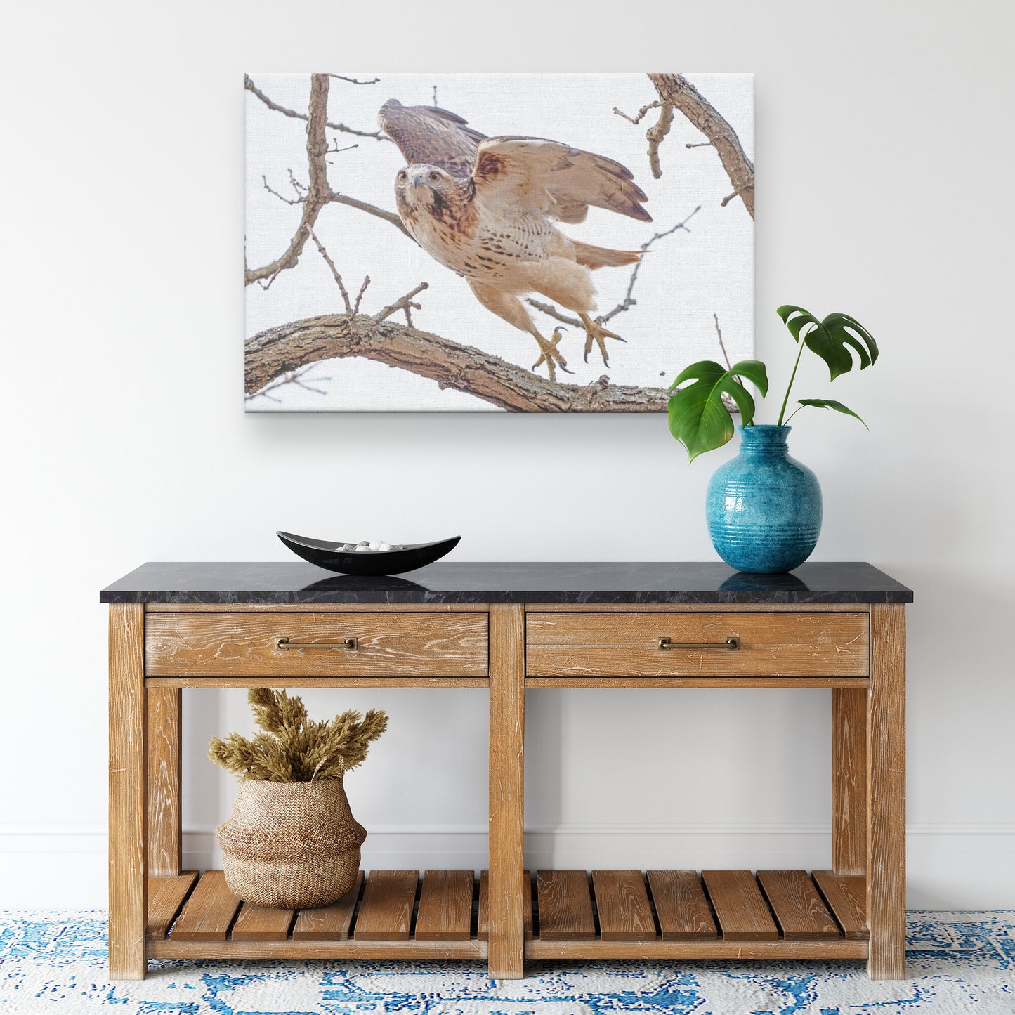Red Tailed Hawk Takeoff Canvas Wrap