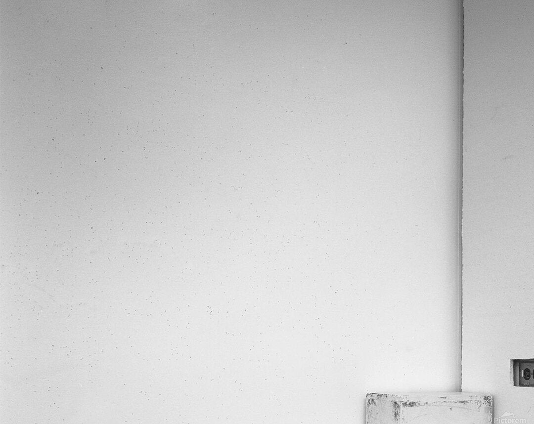 2523966 :: Acrylic Print