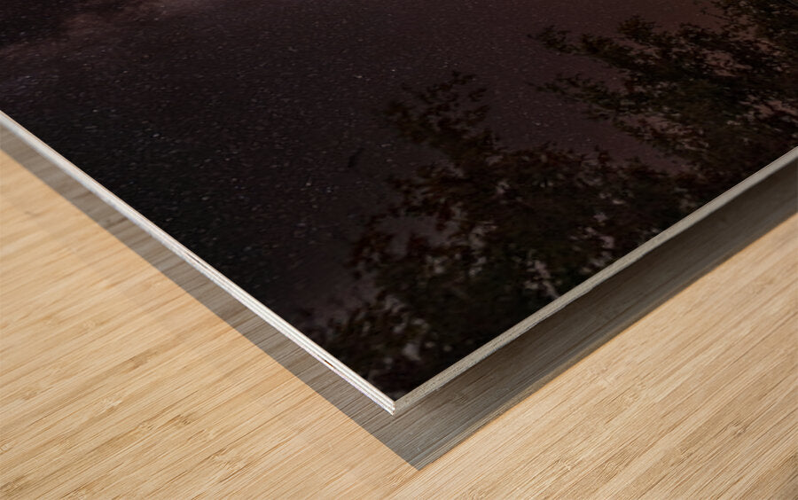 2523966 :: Wood Print