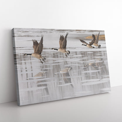 Ducks Over Water Canvas Wrap