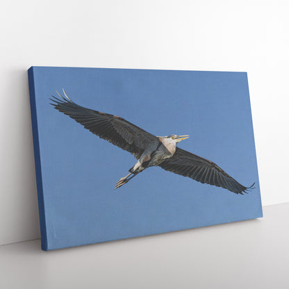 Majestic Great Blue Heron Canvas Wrap