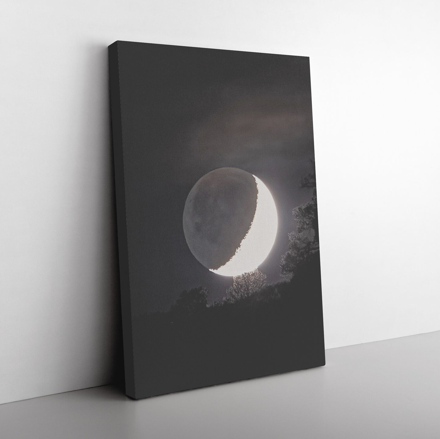 Moon Shadow Canvas Wrap