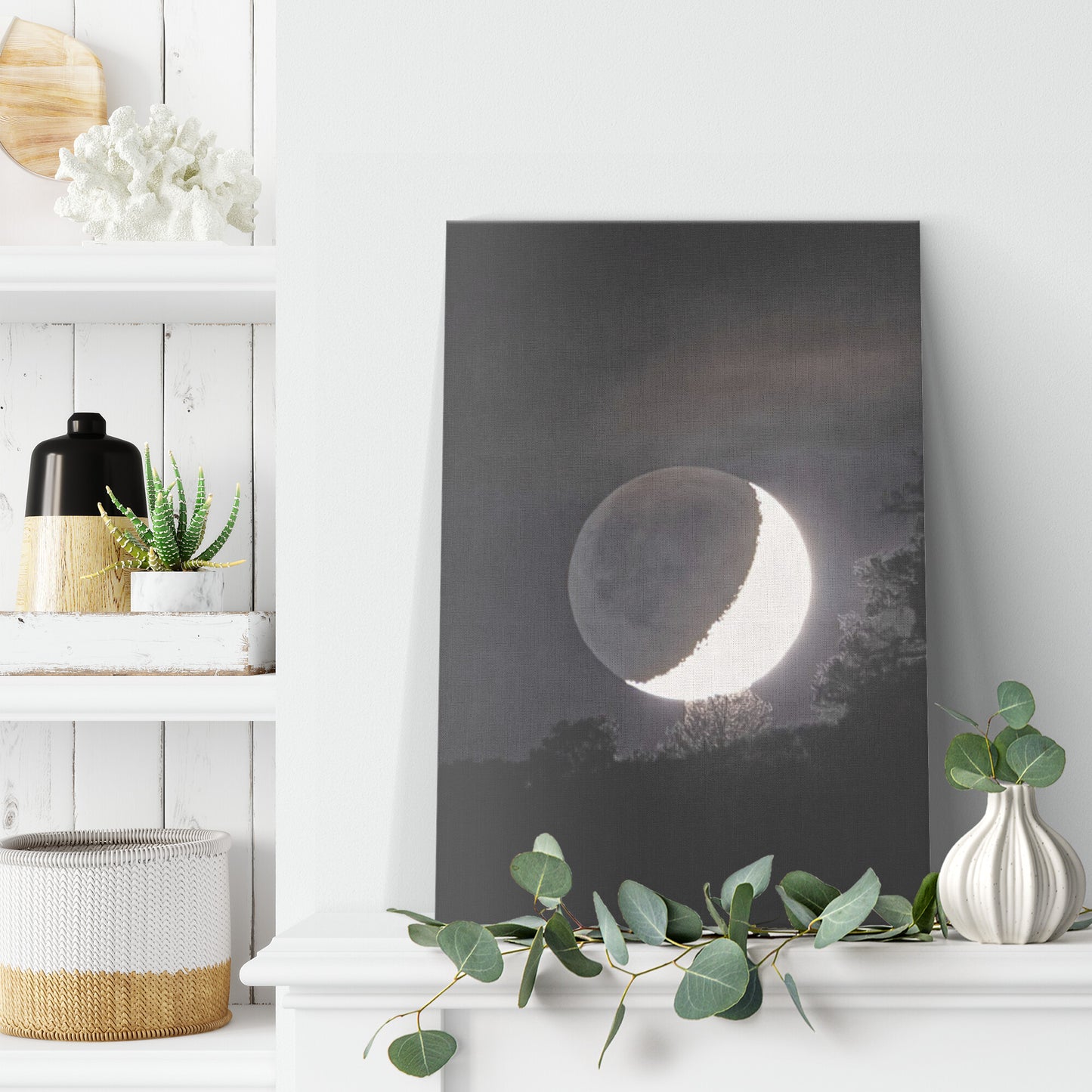 Moon Shadow Canvas Wrap