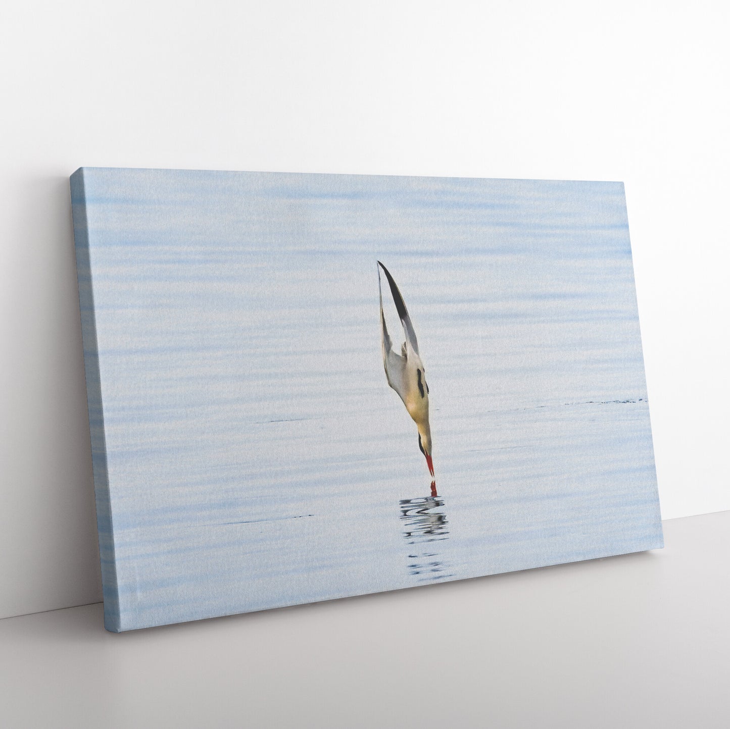 Tern Canvas Wrap